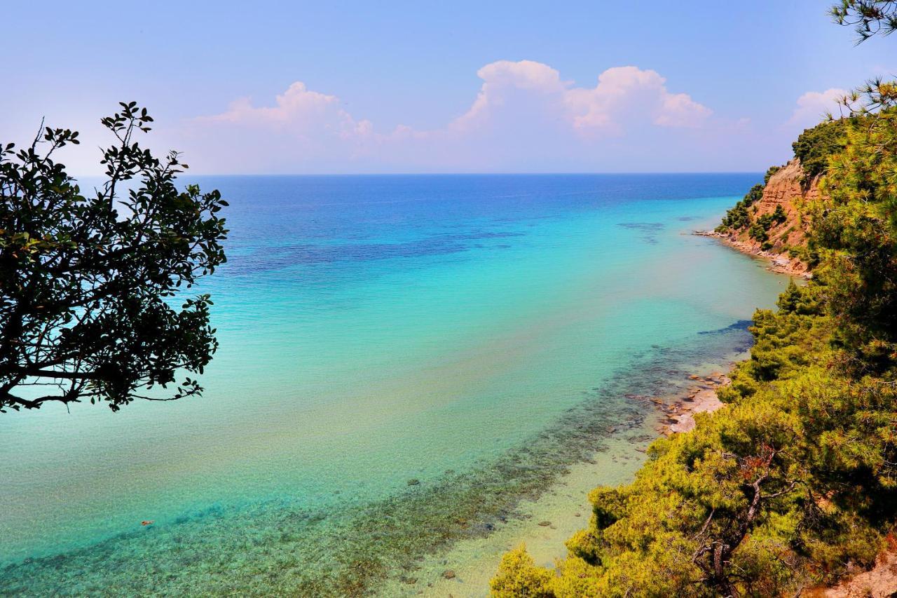 Ariadni Villa Sani Sani  Esterno foto