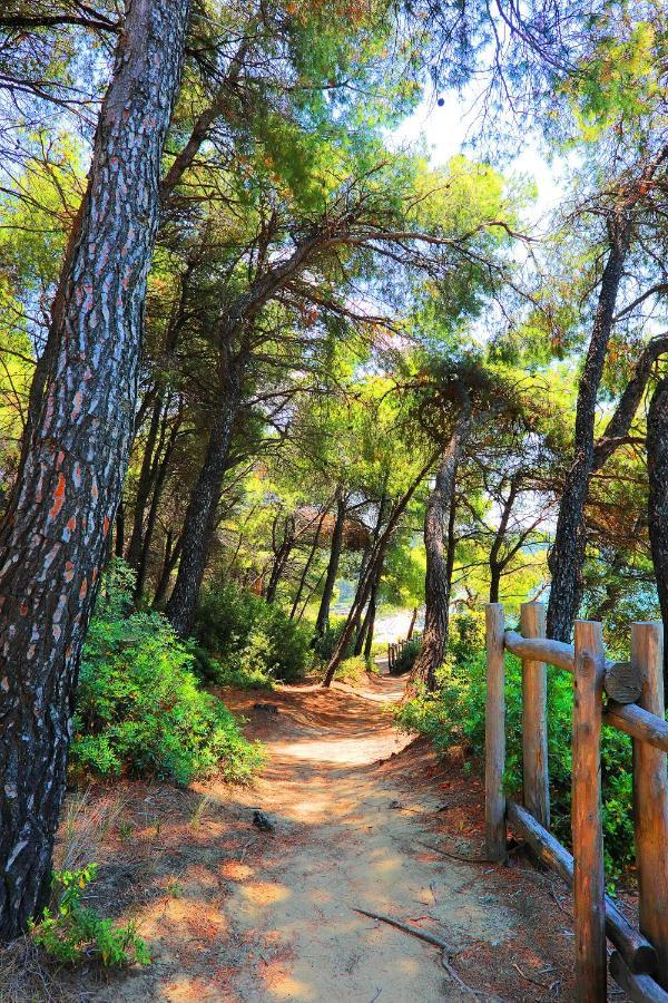 Ariadni Villa Sani Sani  Esterno foto